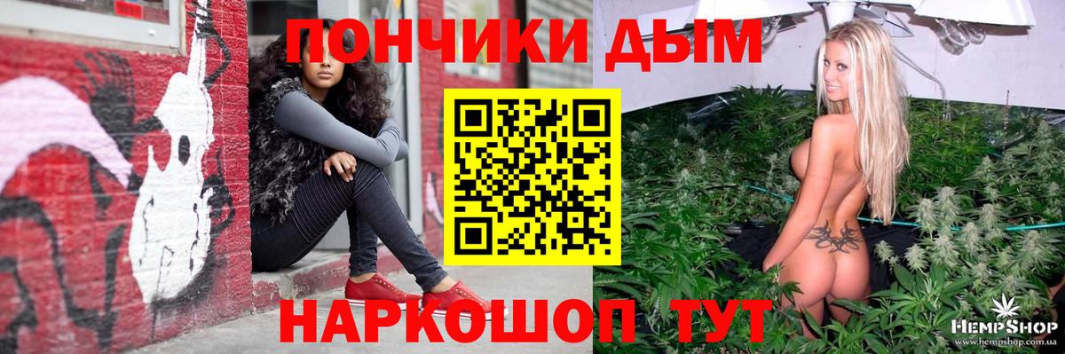 Каннабис план  Вход с VPN  Строитель  Канабис SATIVA & INDICA  Конопля Bruce Banner 